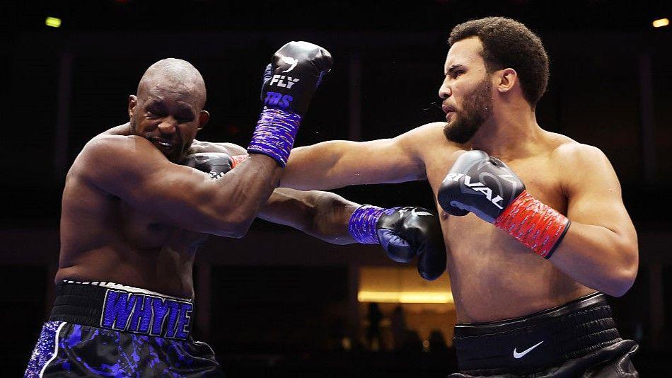 WORLD OF PROFESSIONAL BOXING